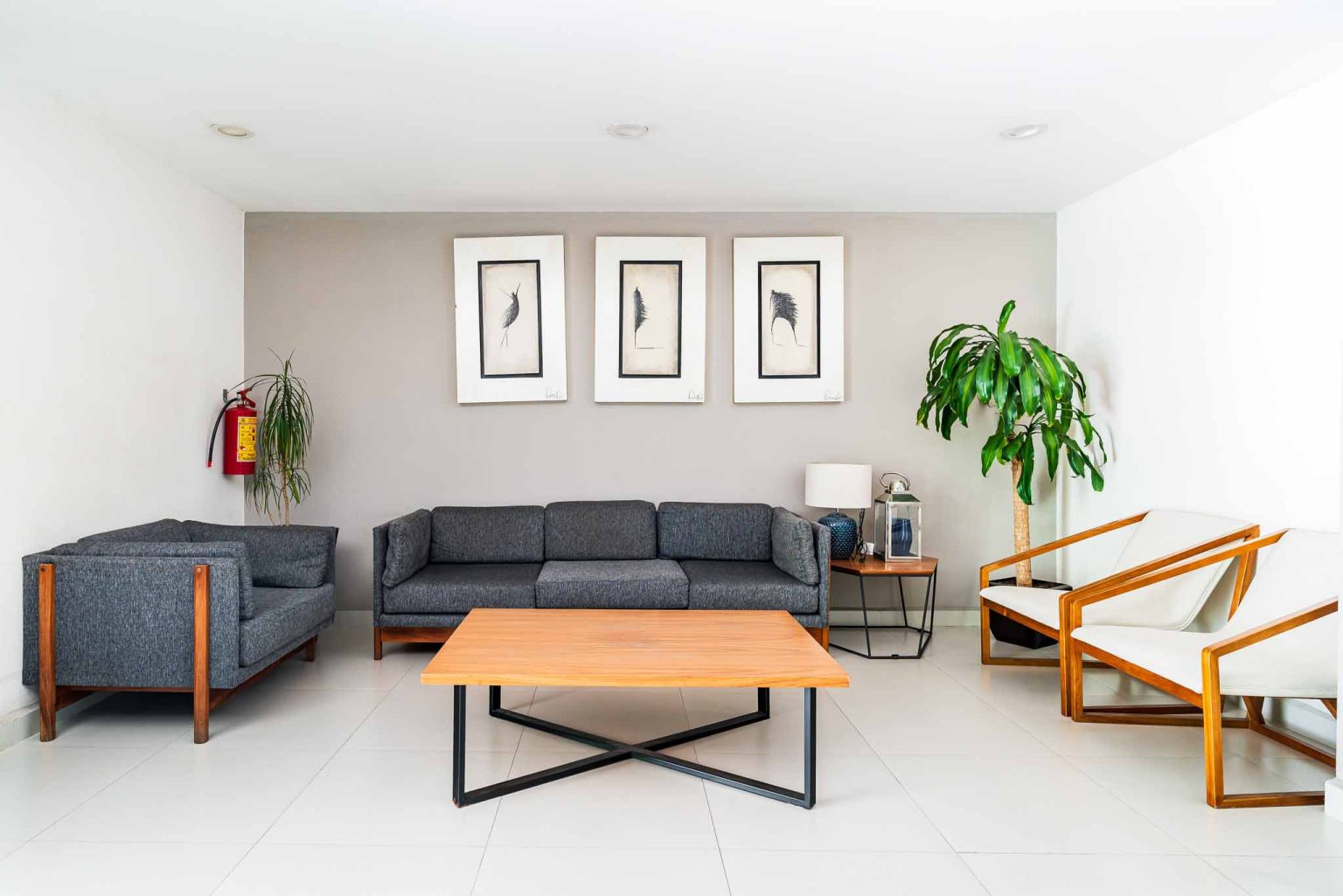 Fotografia de recepcion en la CDMX zona centro Foto de real estate y arquitectura